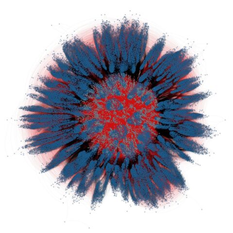 The Brain in Time (Flower Representation) by William Orwig