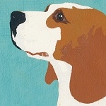 20220225_wondering_dog-2048×1366-1