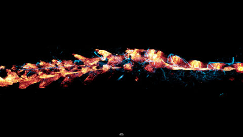 This whole-mount projection of a chemically cleared mouse spinal column visualizes the spatial relationship between skeletal and vascular systems. Mineralized bone forms a continuous axial chain (red), while CD31-immunolabeled endothelial networks (blue) course along the vertebral bodies. The resulting tapering profile and interlaced vascular contrast incidentally evoke the appearance of a dragon's tail.