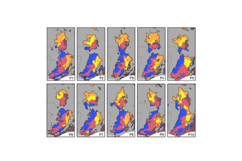 This image displays parallel networks in parietal and temporal regions from 10 human subjects, highlighting the unique organization of association networks for working memory, remembering, language, and social inference. Distinct color patterns reveal how specialized brain networks vary across people, advancing our understanding of individual differences in brain organization.