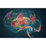 Artist rendition of brain circuitry. Image: nopparit/E+/Getty Images