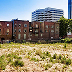 an overgrown lot with buildings in the background