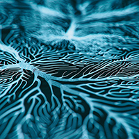 3D rendered image of a neuron cell network. Image: Getty Images