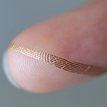 Photo of Axoft’s flexible brain implant.