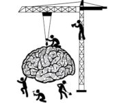 Brain-under-construction-2