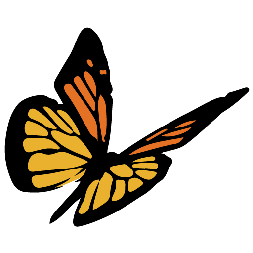 BrainStorm-Butterfly-1