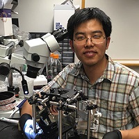 Portrait of photo of chen ran