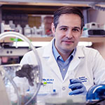 photo of Darius Ebrahimi-Fakhari