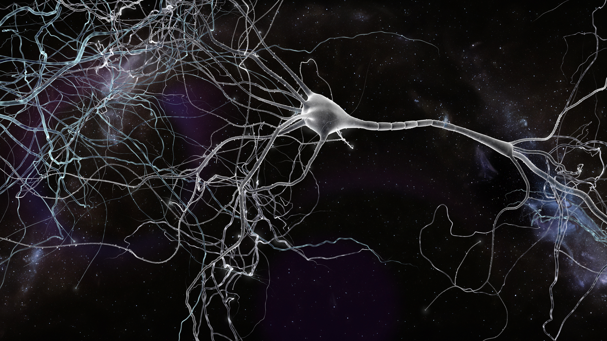 neuron space