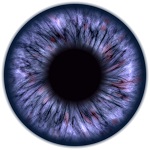 pupil stock photo