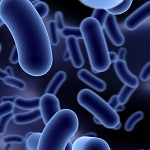 Depositphotos_Microbes