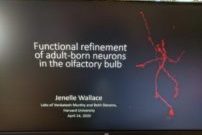 Slide from Janelle Wallace's dissertation defense.