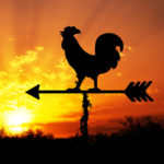 Early birds image
