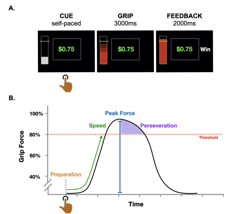 Participants were shown how hard to squeeze (yellow line) and how much was at stake for each trial. They viewed a red progress bar while they squeezed a hand dynamometer to obtain the money reward. Below, we illustrate how we quantified measures of effort exertion from the grip force timeseries data for each trial, including grip strength (blue) and speed (green) output, perseverative grip (purple), preparatory delay (orange), and opting out of trials altogether (not shown).