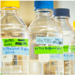 closeup photo of scientific flasks in a lab