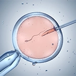 close up of a sperm cell being injected into an egg