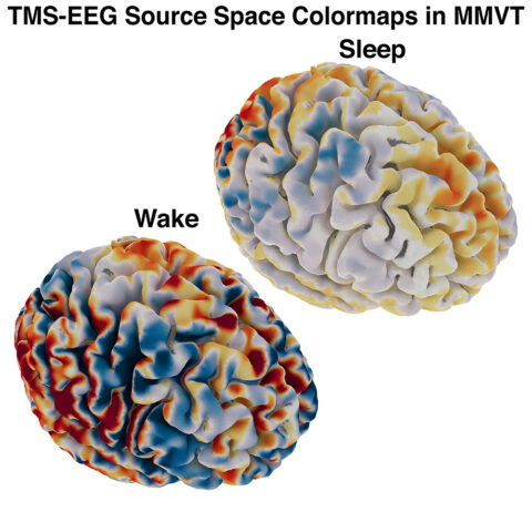 TMS-EEG Source Space Colormaps in MMVT