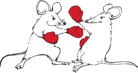 Cartoon of two mice boxing