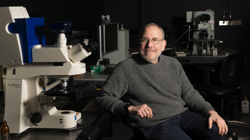 Josh Sanes in his lab