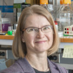 Portrait of Maria Lehtinen in her lab