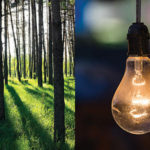 LightHealth