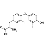 Illustration showing structure of Triiodothyronine or T3