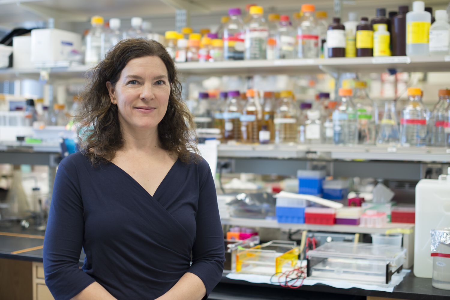 lisa goodrich in her lab