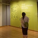MIT Museum Field Trip-Thumbnail