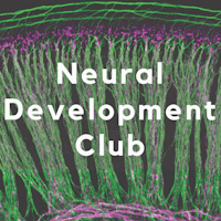 neural development club logo