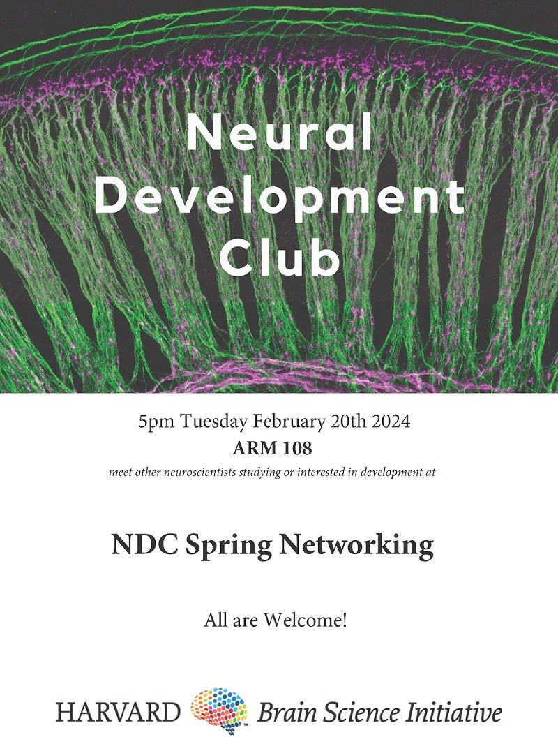 NDC feb 2024 event poster