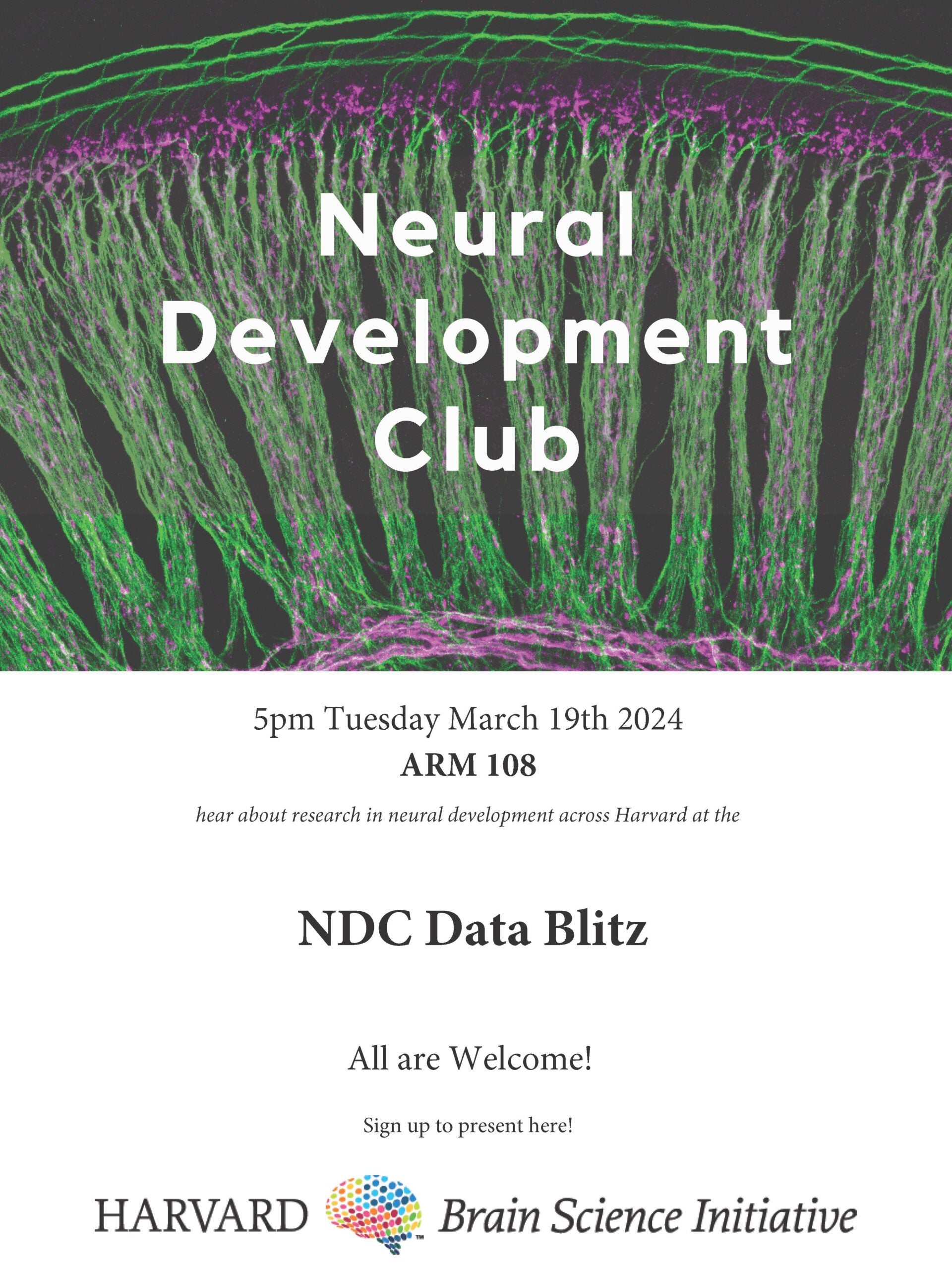 NDC Data blitz poster