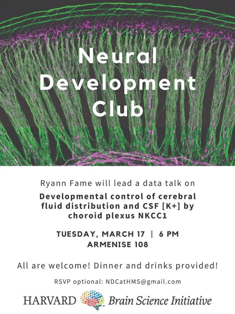Ryann Fame will lead a data talk entitled: Developmental control of cerebral fluid distribution and CSF [K+] by choroid plexus NKCC1