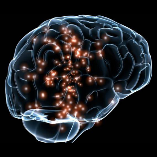 NIH Brain Initiative Photo