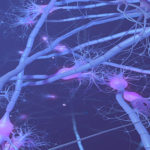 Neuron-large