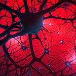 computer generated image of neurons and their connections