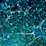 3D illustration of a neuron in beautiful background (depositphotos.com)