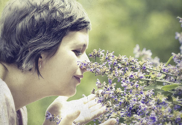 Olfaction Image