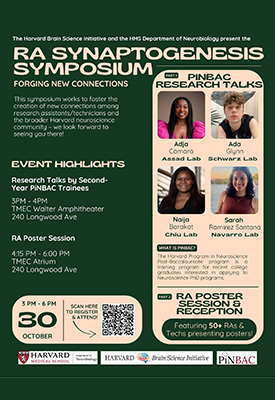 synaptogenesis event slide