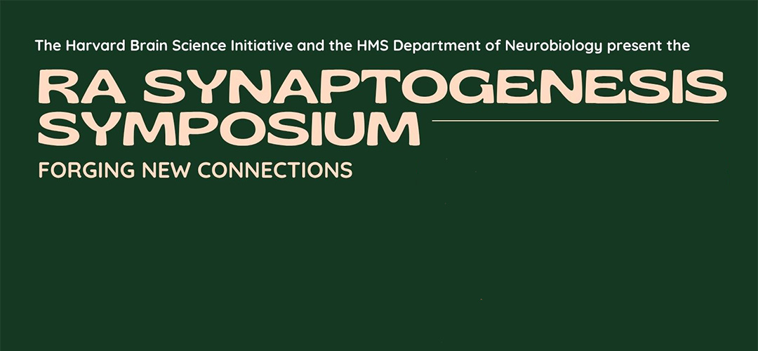 RA synaptogenesis symposium slide