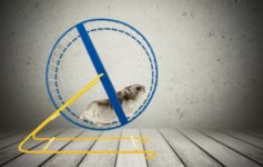 Running Mouse