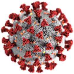SARS-CoV-2 illustration