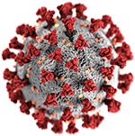 illustration of a coronavirus