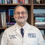 Photo of David Silbersweig