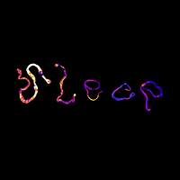 the word sleep on a black background