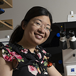 Portrait of photo of yuyu song