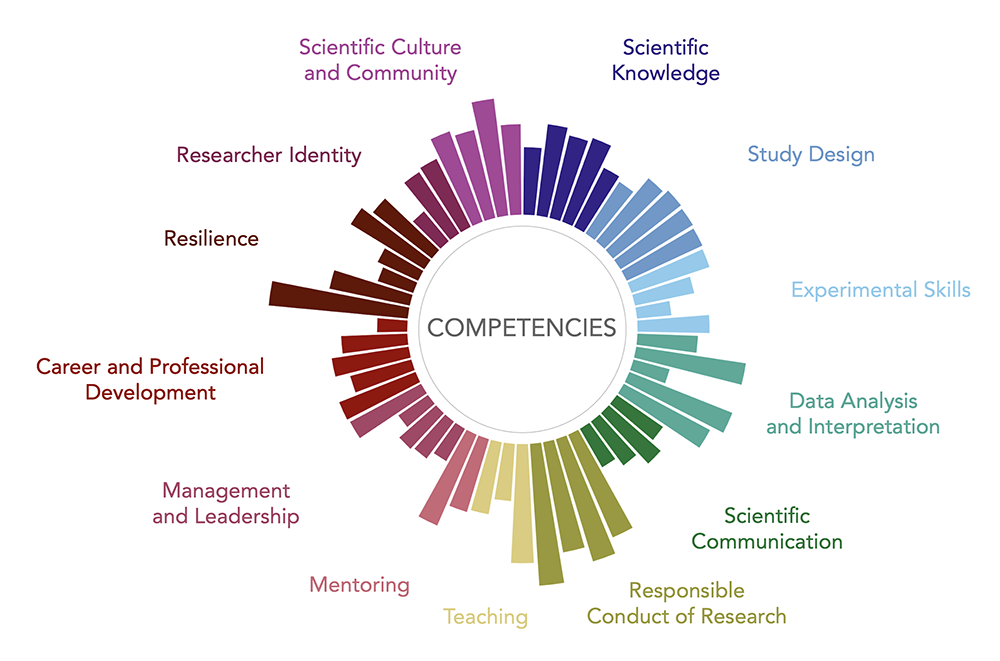 Starburst model showcasing 13 competency areas