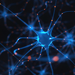theory of mind