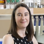 Photo of Amanda Whipple