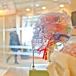Wyss_Institute
