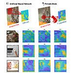 Comparison between feature representations from an artificial neural network,